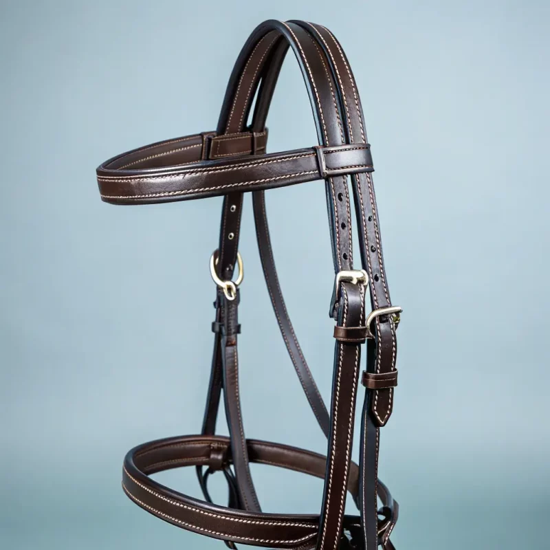 Premium Leather Bridle