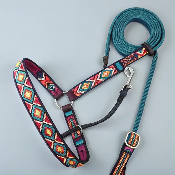Stylish Halter with Lead Rope